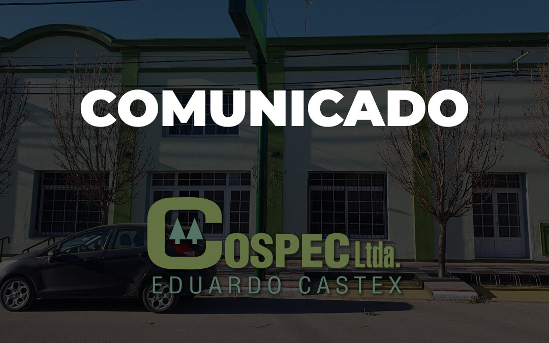 FERIADO NACIONAL DEL 20 DE JUNIO: ¿CÓMO SE PRESTARÁN LOS SERVICIOS EN CASTEX?