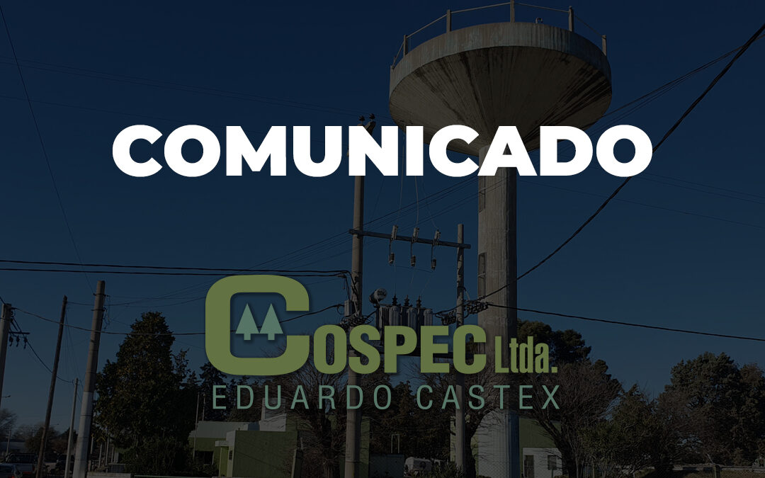 DÍA NO LABORABLE:¿CÓMO SE PRESTARÁN LOS SERVICIOS EL VIERNES 15 DE AGOSTO?