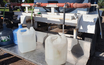 FERIADO NACIONAL EN CASTEX: ¿CÓMO SE PRESTARÁN LOS SERVICIOS?